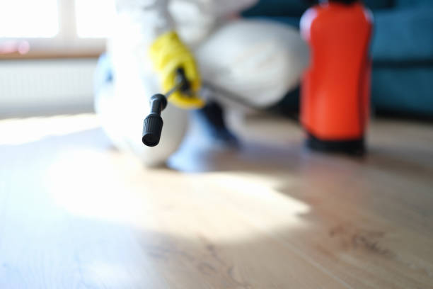 Best Residential Mold Inspection & Testing  in Oldsmar, FL