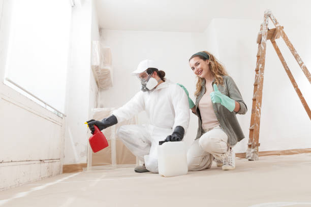  Oldsmar, FL Mold Removal Pros