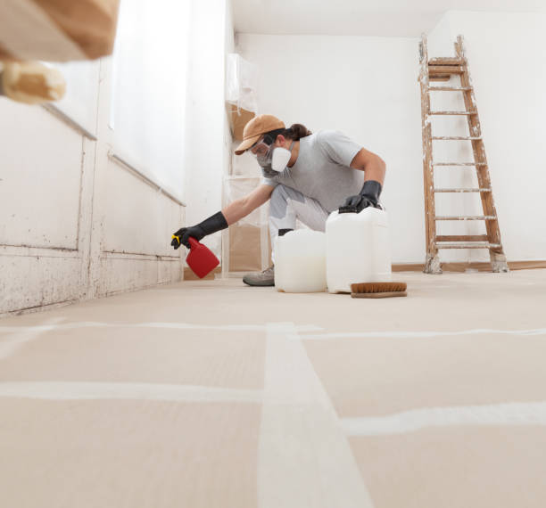 Best Post-Construction Mold Inspection  in Oldsmar, FL