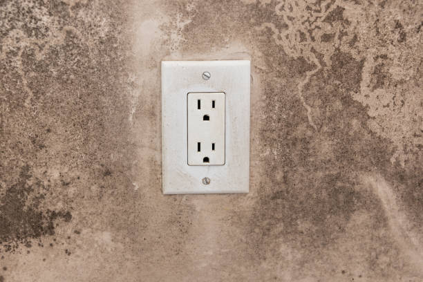 Best Air Quality Testing for Mold Spores  in Oldsmar, FL